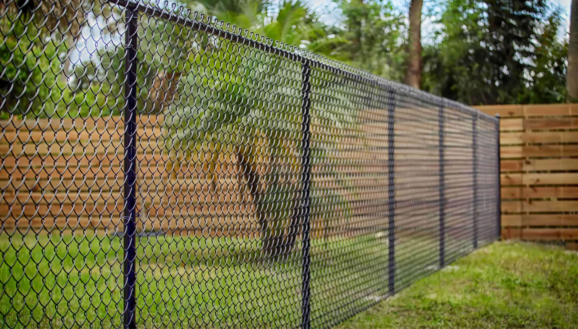 Chain Link Fencing services in Salem